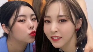 【MAMAMOO】 Proof of Imitating a Top Group