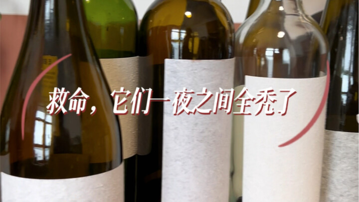 ฉลากไวน์ที่หายไป | วิดีโอคลายเครียด: การสะสมของใช้คือความโรแมนติกหรืออาการป่วยกันแน่?