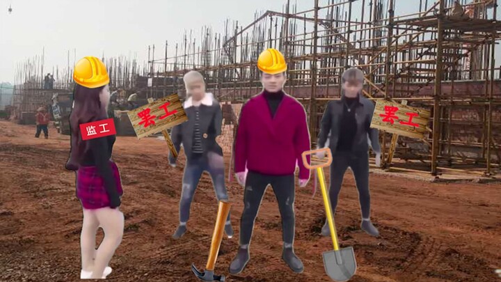 Sheep, White, Lao, Working