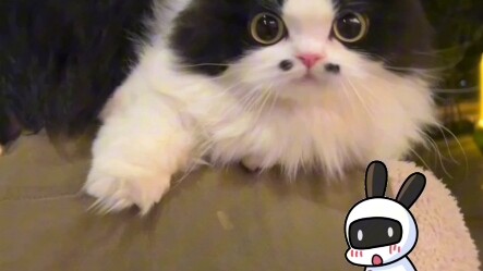 Lúc đầu: Hehe, lại một mẹ bỉm sữa nữa không nhận ra thực tế; sau khi xem xong: Á á á, bé cưng đáng y