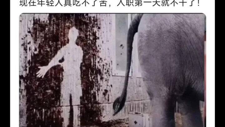 “Young people can endure hardship, but they can’t stand crap.”