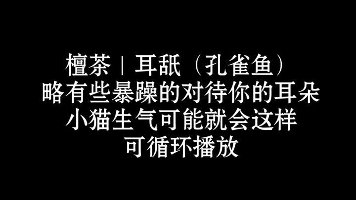 بعض لعق الأذن العصبي، متعة مستمرة لمدة 25 دقيقة | ASMR | المساعدة على النوم | بدون صوت بشري | ممتع |