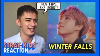 STRAY KIDS - WINTER FALLS REACTION!!