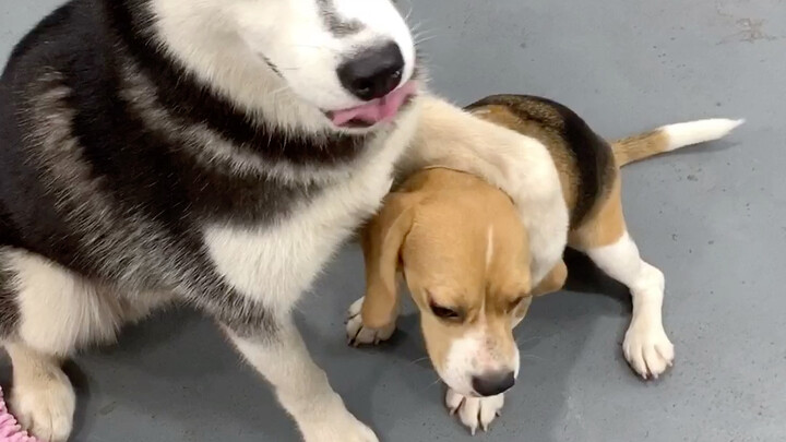 Sebenarnya siapa yang melakukannya?