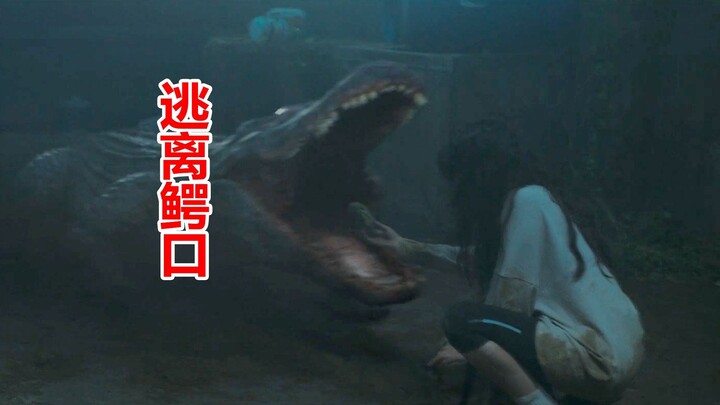 【Tang Tang】 Film buaya terbaru bertema aksi mendebarkan “Melarikan Diri dari Cengkeraman Buaya” tela