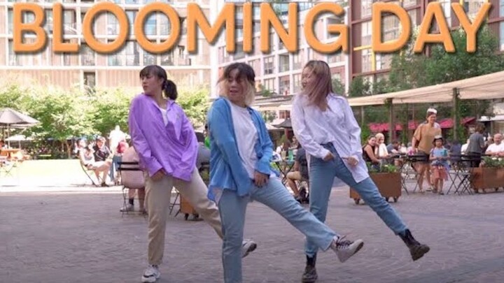 EXO-CBX《花曜日 Blooming Day》澳洲街头翻跳【悉尼9BIT舞团】