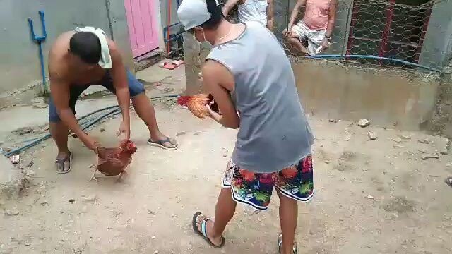 White chocolate vs hennie