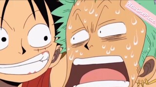 Luffy đã làm gì Zoro 😂😂 (What Luffy did to Zoro???)