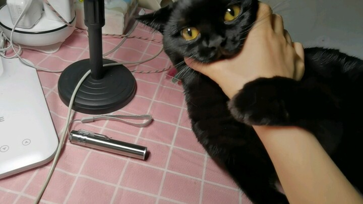 Mẹ hiền con thảo, hiếu thảo không nổi hai phút