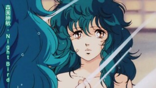 [Van Paugam]City Pop シティーポップ VIII