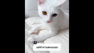 โบ้เอาตัวรอดไว้ก่อน😂