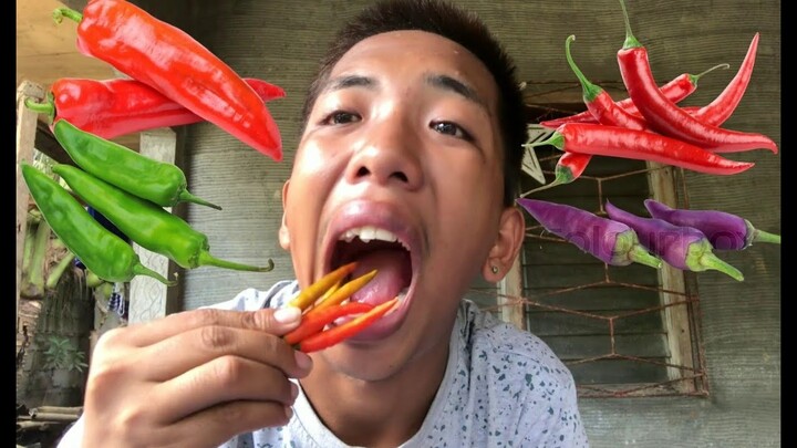 BEATBOX WITH CHILI PEPPER CHALLENGE | JHUN MAR