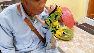 Smart Baby Monkey Tuy Very Like Uncle  And Want To Talk With Him