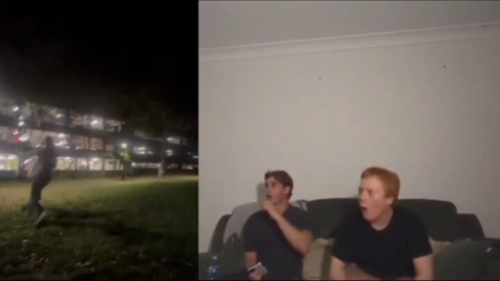 INSANE STREET FIGHT - Return of the Challenger, Chimps React