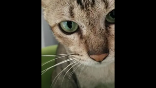 ถ่ายดีนักกกก ผัวะเข้าให้ 🤣🤣