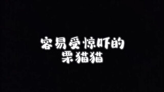 女鹅真的每次都会被吓到