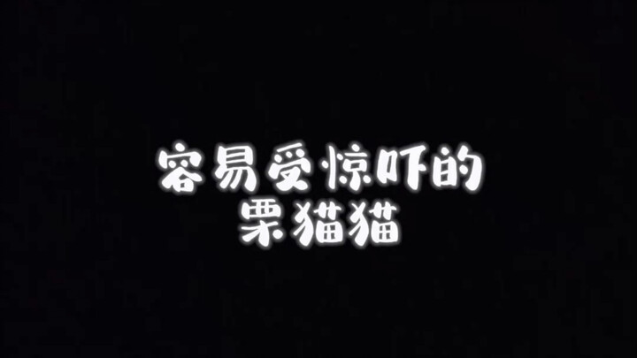 女鹅真的每次都会被吓到