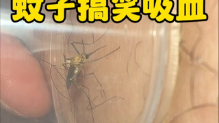 有趣