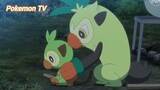 Pokemon (Short Ep 101) - Pokemon: Bachinkey #pokemon