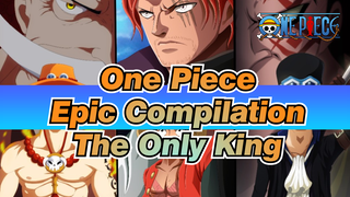 The Only One King | One Piece Epic Compilation