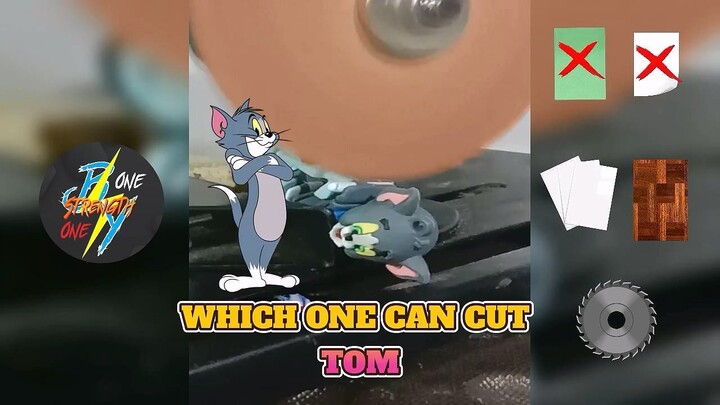 WHICH ONE CAN CUT TOM