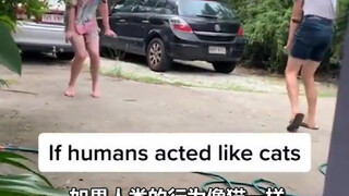 What's so funny about two "cat people" meeting if cats and dogs turned into humans?