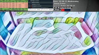 Sleep Stream 20.08.2025
