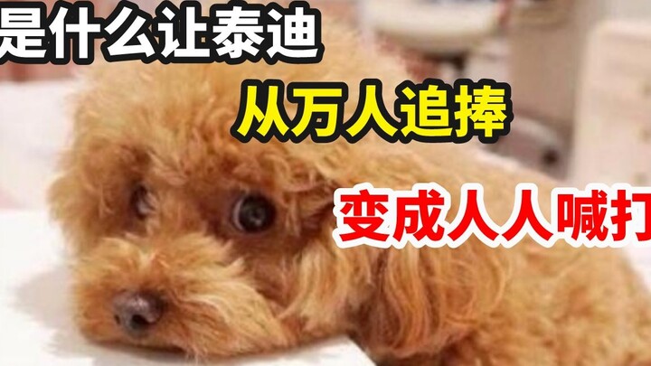 Mengapa Teddy yang sempat viral di seluruh internet kini malah dibenci oleh semua orang?