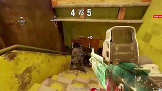 ظهر خائن بيننا