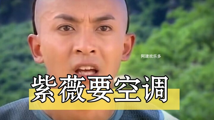 Shandong Dialect's New My Fair Princess: Ziwei Wants Air Conditioning