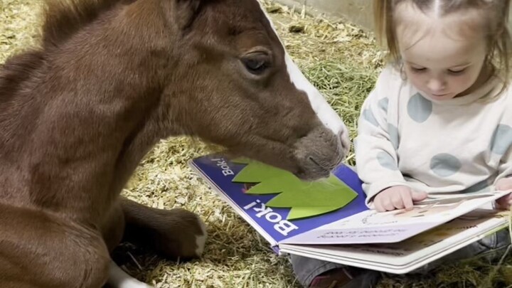 Why Horses Are So Friendly Toward Kids