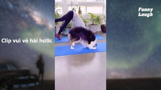 FL43-3 - khoảnh khắc vui vẻ giải trí