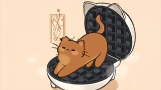 “有趣猫猫分享给你”