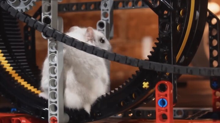 The path of a rat is harder than climbing to the sky.