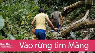 Cách làm măng khô Tây Bắc