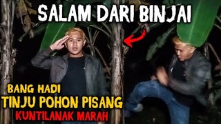 🔴 800- SALAM DARI BINJAI ! KUNTILANAK PENGHUNI POHON PISANG MARAH