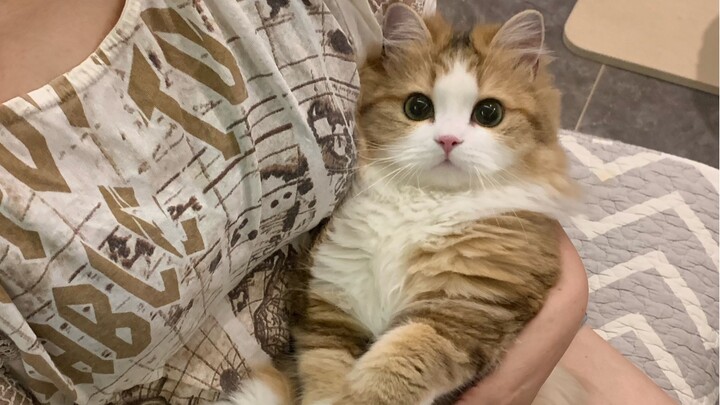 一不小心就把你拉扯大了