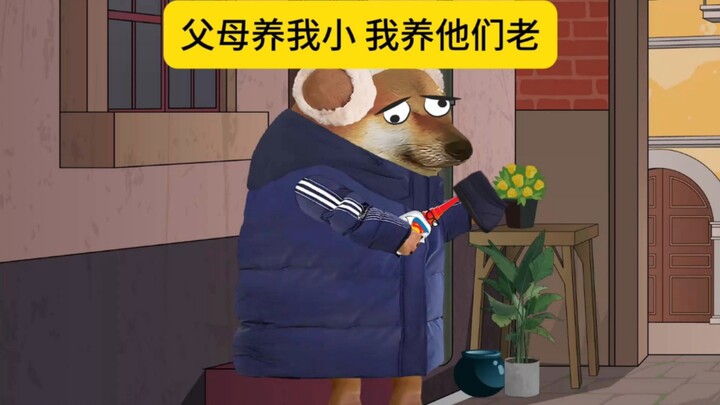 父母养我小 我养他们老