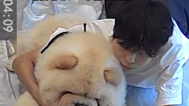 My boyfriend, who’s ten years younger than me, actually showed this to the dog while I was on a busi