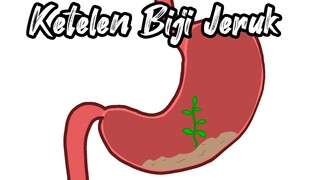 Ketelen Biji Jeruk