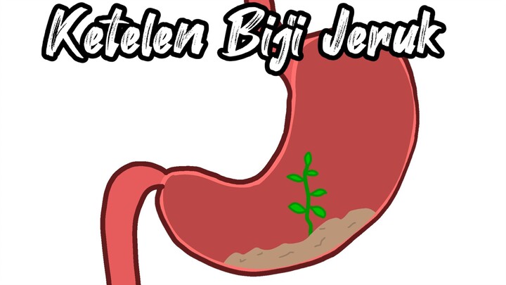 Ketelen Biji Jeruk