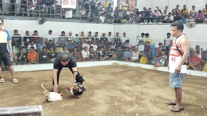 ENTRY NAME: PE POPOY & ED.     KESONG PUTI VS PEANUT BUTTER        PALAMAN LABAN SA PALABAN🐓🏆