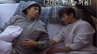 奎硕 狗狗爱打架但狗狗忘性大