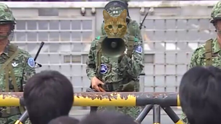 Bukan lagi sekedar pecinta kucing biasa yang harus berjuang keras