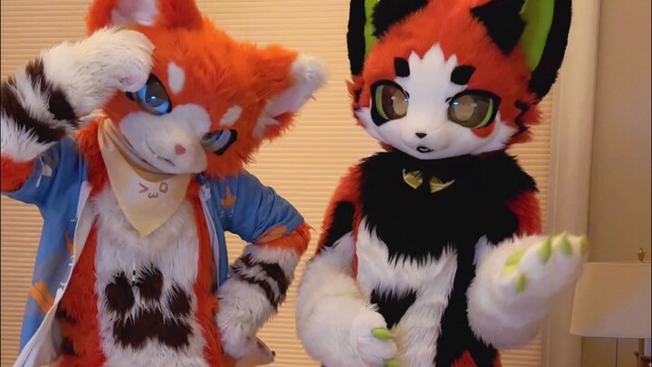 If I don't go to sleep now, I'll see the sun rise!!