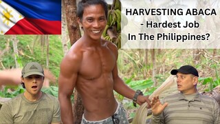 Foreigners React to HARVESTING ABACA   Hardest Job In The Philippines?