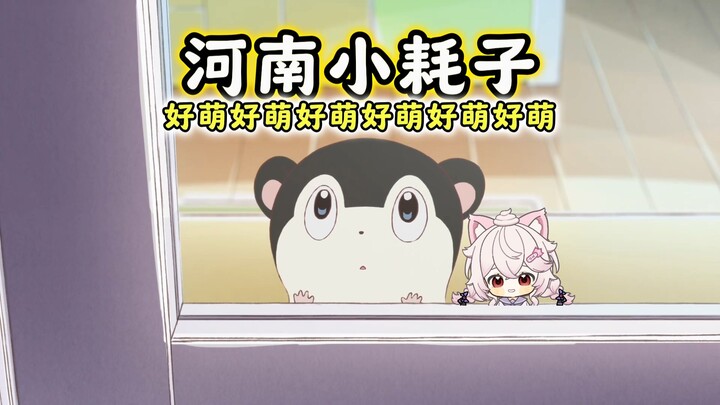 Trời ơi con chuột nhỏ Hà Nam này~(๑‾ ꇴ ‾๑)