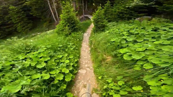 “Time has taught me two things: to cherish and to let go.”