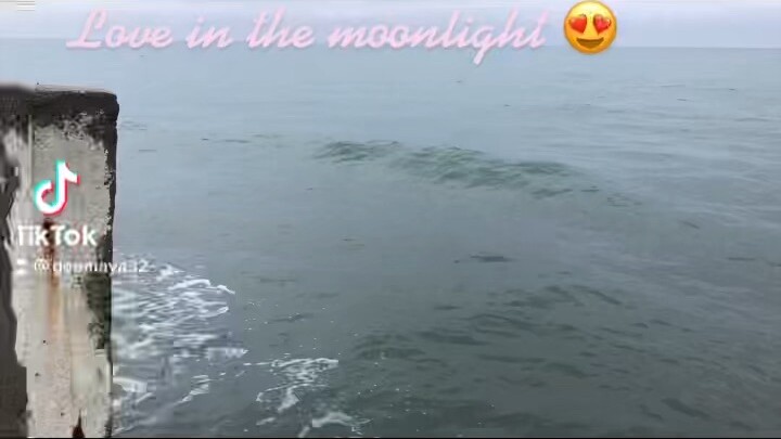 Love in the moonlight 😍
