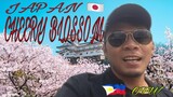 CHERRY BLOSSOM 🌸 🌸🌸dito sa Japan 🇯🇵